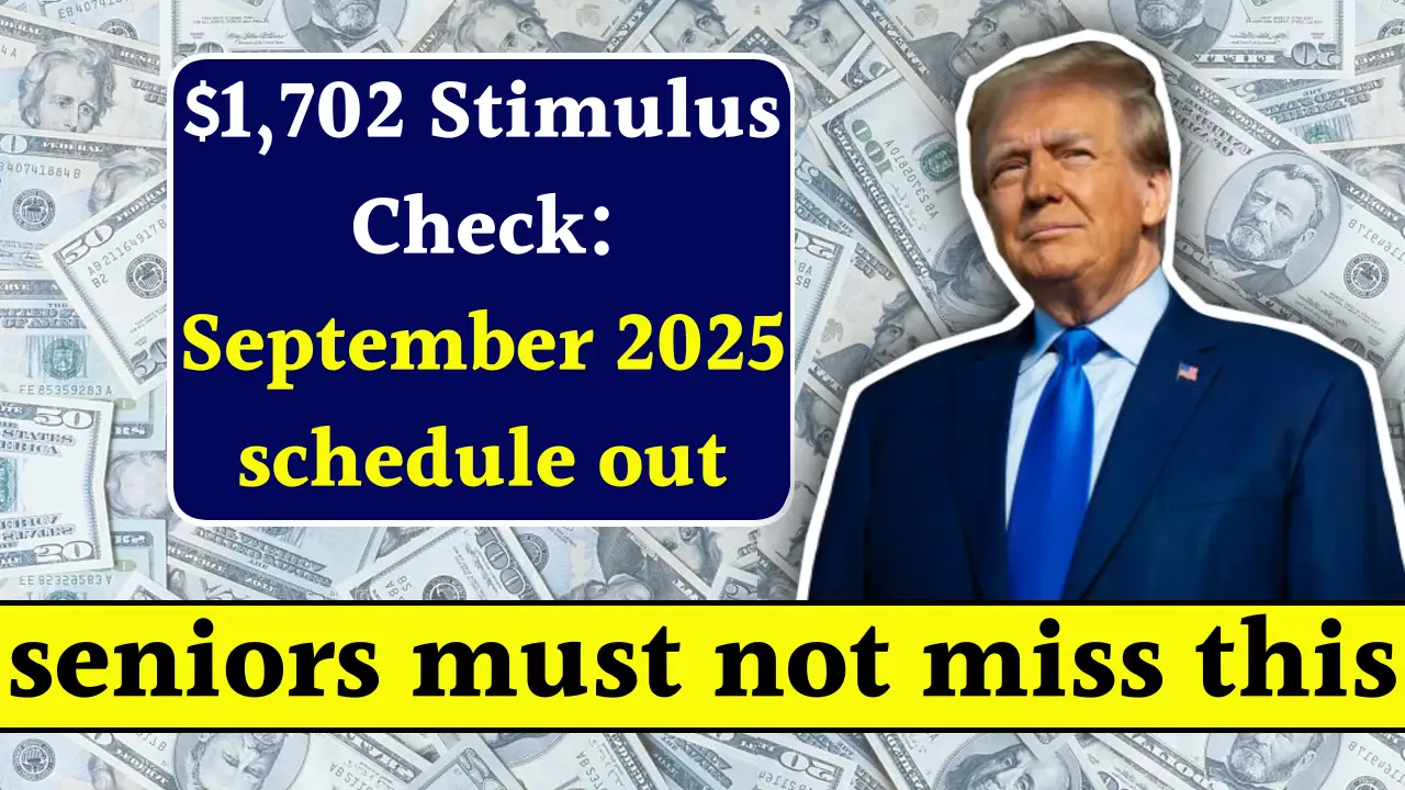 Stimulus Payment for Everyone